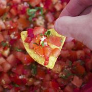 Bild Tomaten Salsa mit Tortilla Chip