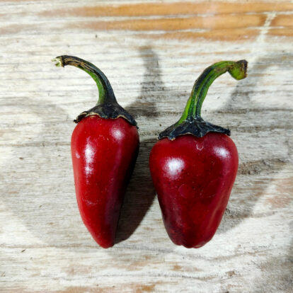 Count Dracula Chilis