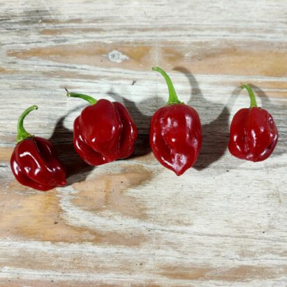 Espiritu Santo red