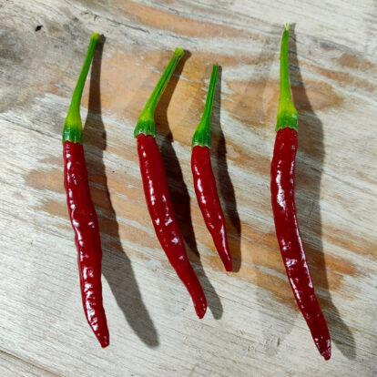 Hontaka Chilis