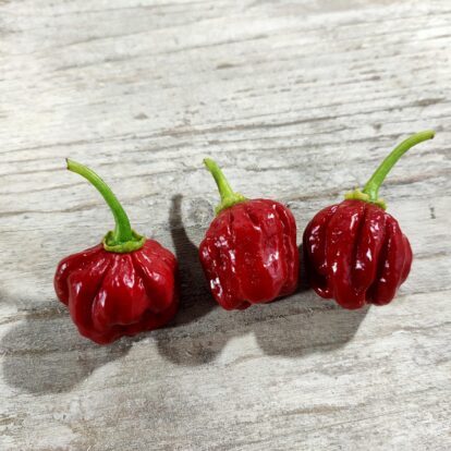 NuMex Suave Red