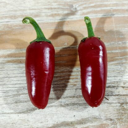 Jalapeno Ciclon