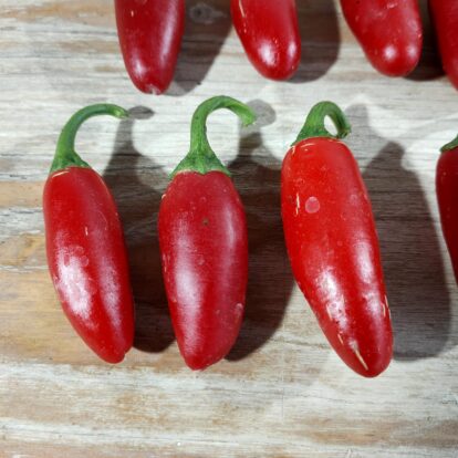 Jalapeno NuMexx Vaquero