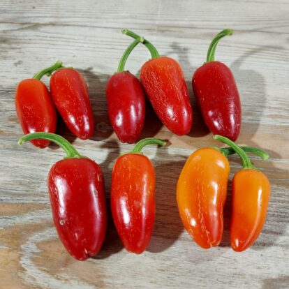 Jalapeno White